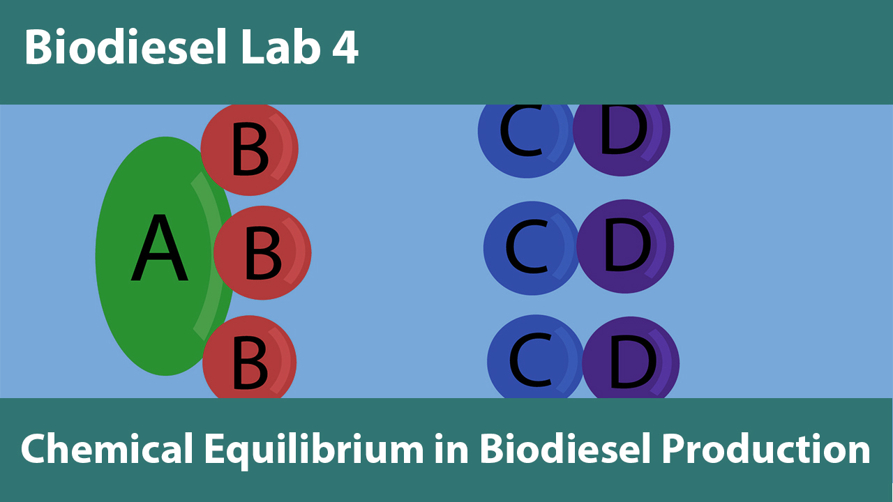 Lab 4: Chemical Equilibrium in Biodiesel Production
